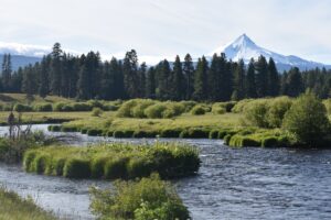 Mt. Jefferson - Metolus River- Camp Sherman